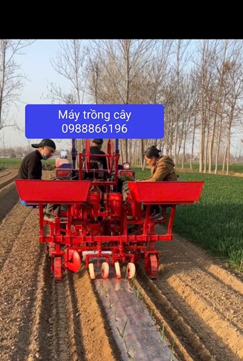 Máy trồng cây ớt ,hành ,tỏi ,rau ... kamast 